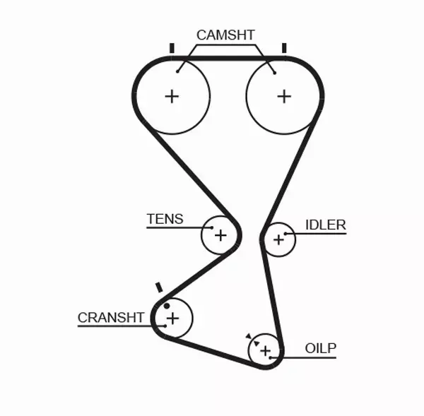 GATES PASEK ROZRZĄDU 5556XS 