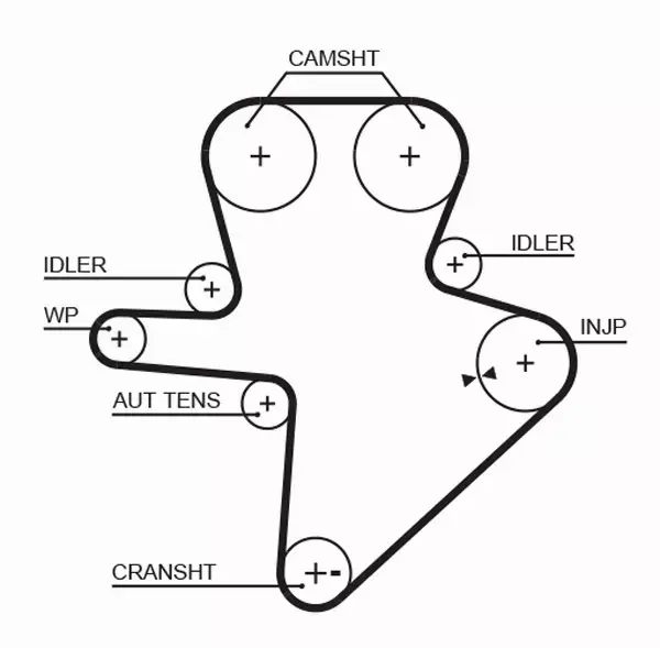 GATES PASEK ROZRZĄDU 5586XS 