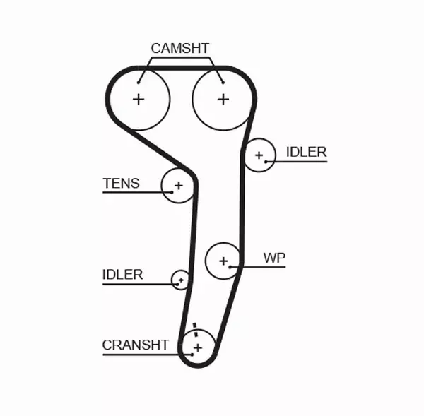 GATES PASEK ROZRZĄDU 5607XS 