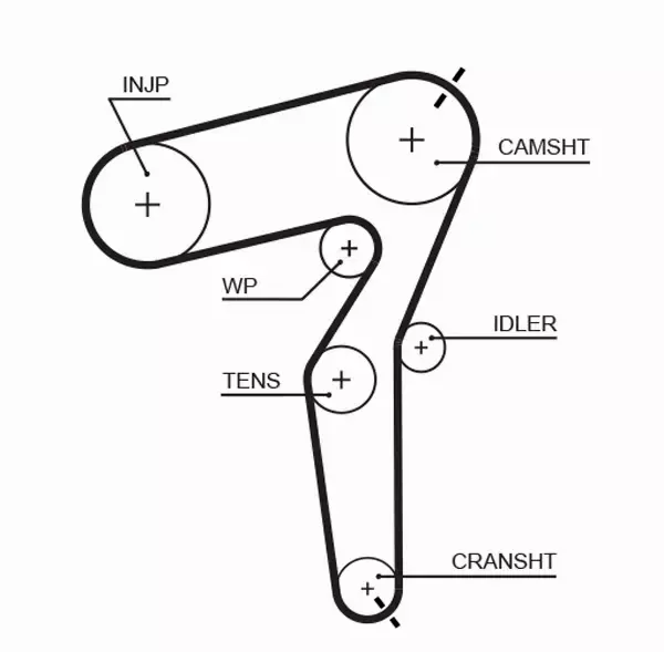 GATES PASEK ROZRZĄDU 5650XS 