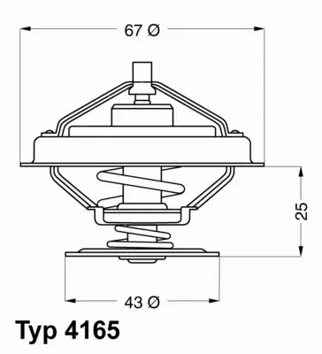 WAHLER TERMOSTAT 4165.79D 