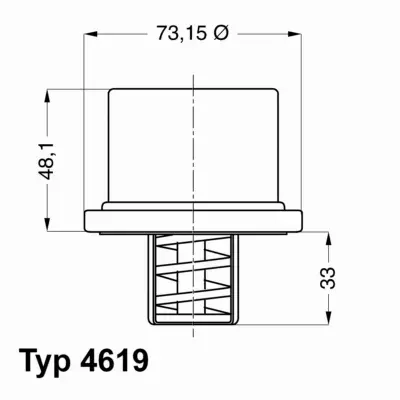 WAHLER TERMOSTAT 4619.82 