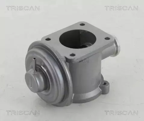 TRISCAN ZAWÓR EGR 8813 11003 