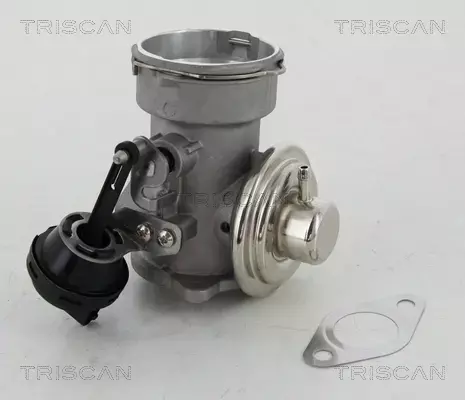 TRISCAN ZAWÓR EGR 8813 16023 