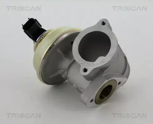 TRISCAN ZAWÓR EGR 8813 16102 