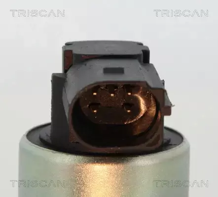 TRISCAN ZAWÓR EGR 8813 24003 