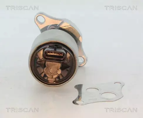 TRISCAN ZAWÓR EGR 8813 24004 