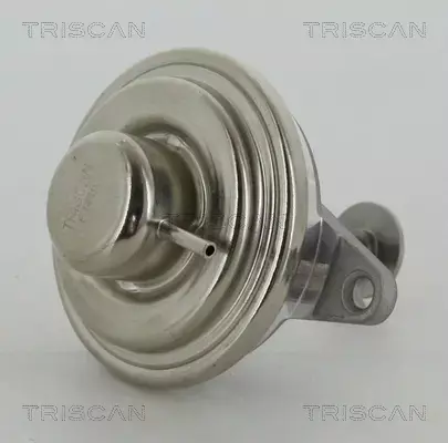 TRISCAN ZAWÓR EGR 8813 24054 