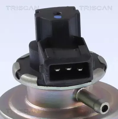 TRISCAN ZAWÓR EGR 8813 24203 