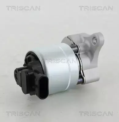 TRISCAN ZAWÓR EGR 8813 28008 