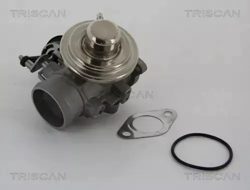 TRISCAN ZAWÓR EGR 8813 29001 