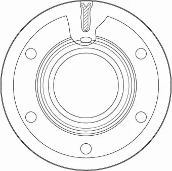 TRW TARCZA HAMULCOWA DF5074S 