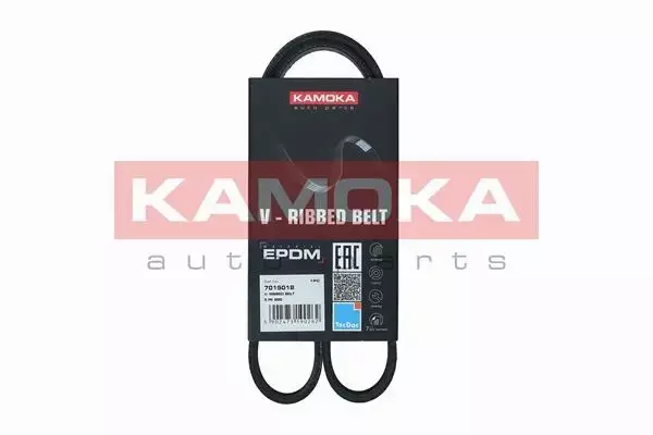 KAMOKA PASEK MICRO-V  7015018 