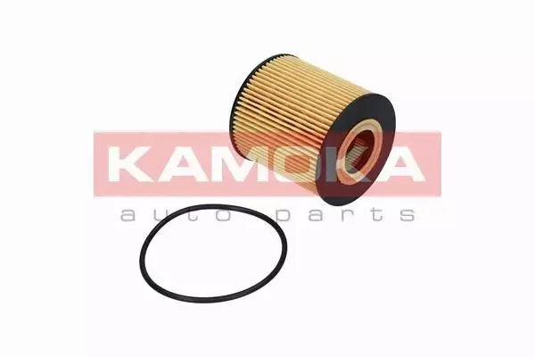 KAMOKA FILTR OLEJU  F107001 