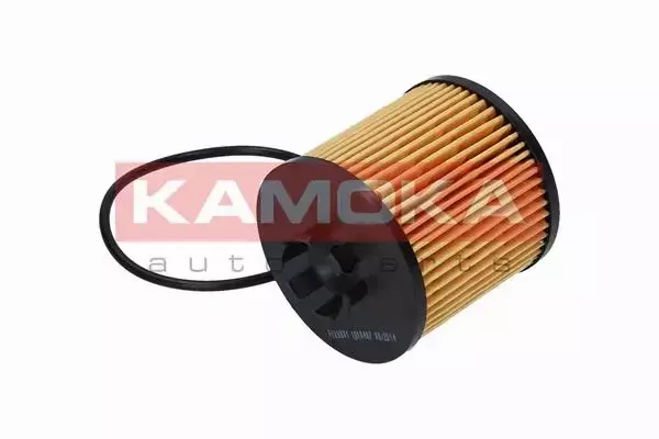 KAMOKA FILTR OLEJU  F109801 