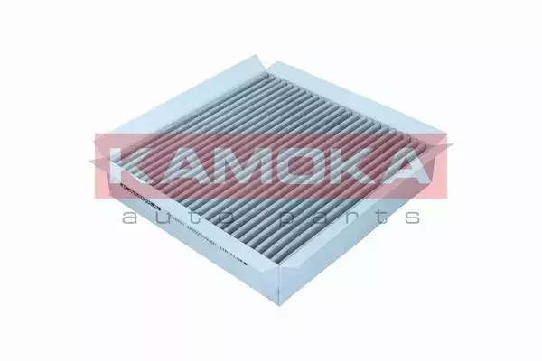 KAMOKA FILTR POWIETRZA F520301 