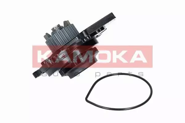 KAMOKA POMPA WODY T0031 