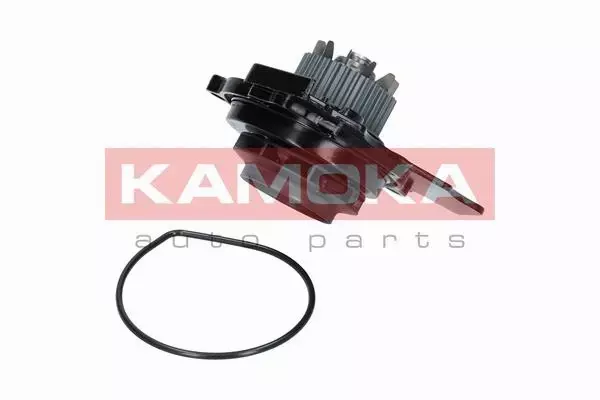 KAMOKA POMPA WODY T0031 