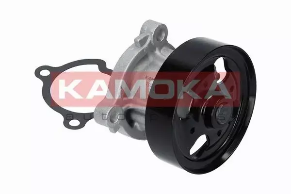 KAMOKA POMPA WODY T0221 