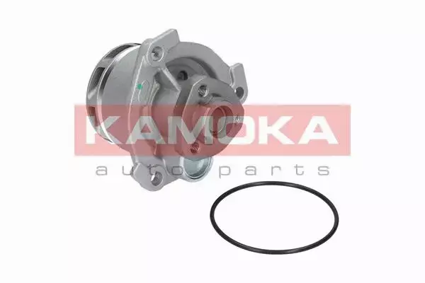 KAMOKA POMPA WODY T0234 