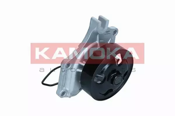 KAMOKA POMPA WODY T0307 