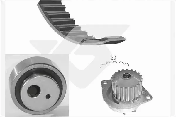 HUTCHINSON ZESTAW ROZRZĄDU KH 13WP17 