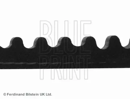 BLUE PRINT PASEK WIELOROWKOWY AD10V885 