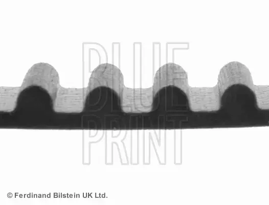 BLUE PRINT PASEK ROZRZĄDU ADT37527 