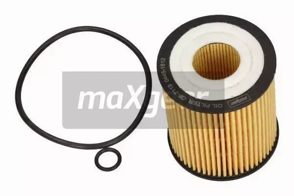 MAXGEAR FILTR OLEJU 26-0893 