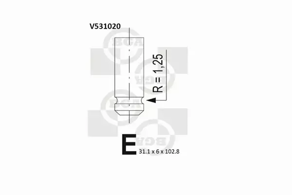 BGA ZAWÓR WYDECHOWY V531020 