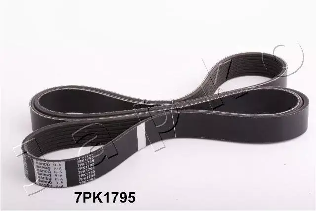 JAPKO PASEK WIELOROWKOWY 7PK1795 