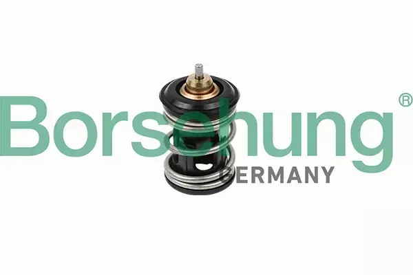 BORSEHUNG TERMOSTAT VW POLO 6R 1.0 1.2 1.4 TSI 