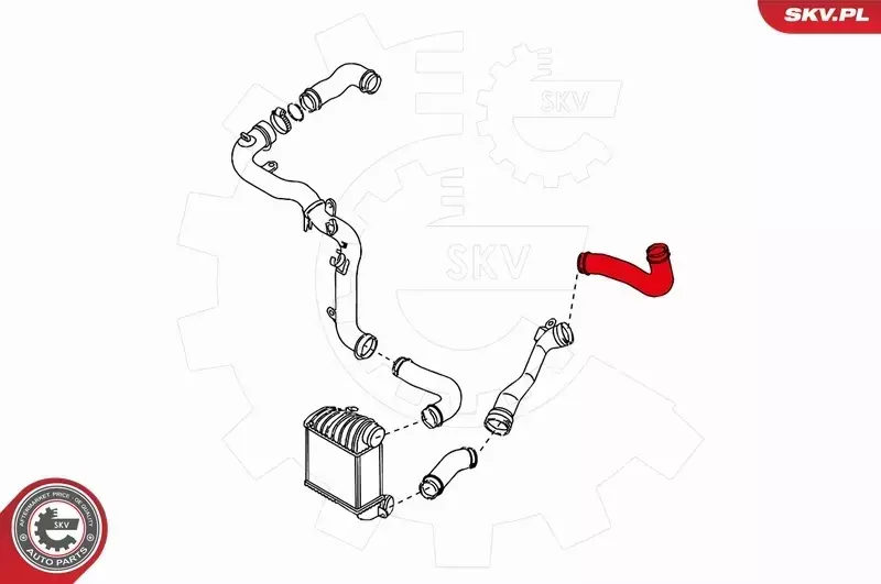 SKV PRZEWÓD TURBO AUDI A3 8L SKODA OCTAVIA 1.9TDI 