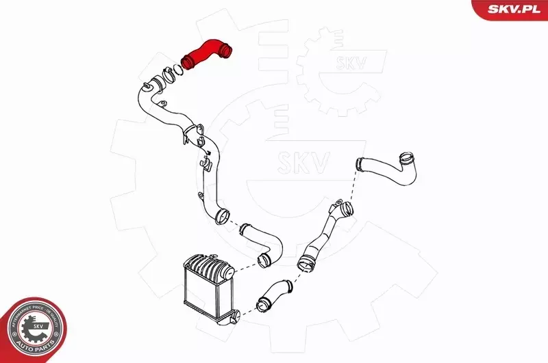 SKV PRZEWÓD TURBO AUDI A3 8L SKODA OCTAVIA 1.9 TDI 