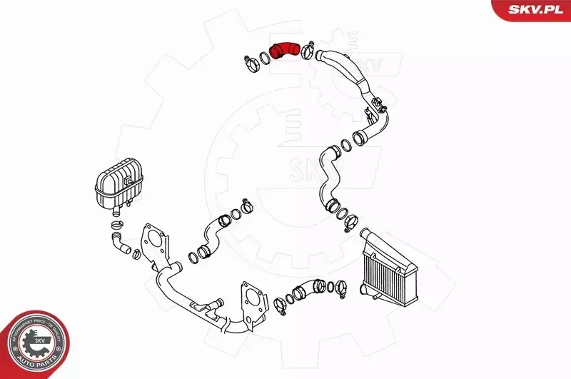 SKV PRZEWÓD TURBO AUDI A4 B6 B7 1.9 2.0 TDI 