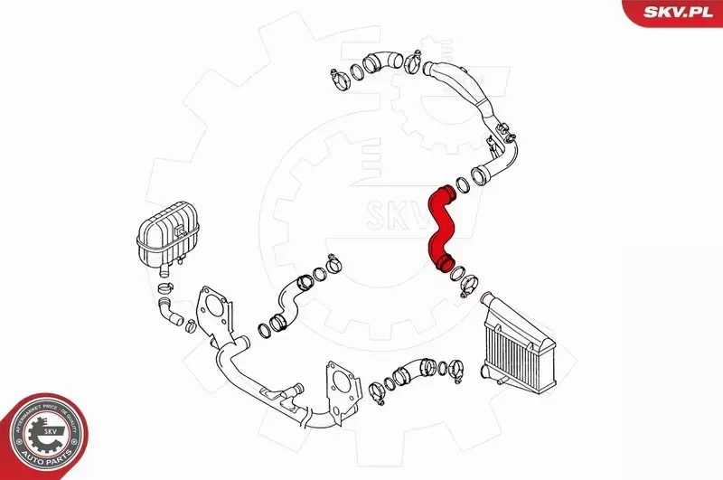 SKV PRZEWÓD TURBO AUDI A4 B5 B6 B7 A6 C5 1.9 TDI 