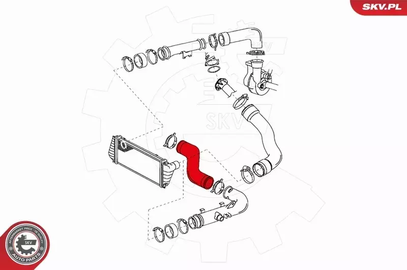 SKV PRZEWÓD TURBO 24SKV064 