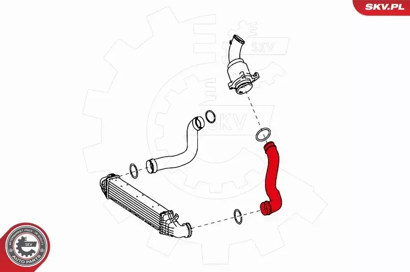ESEN SKV PRZEWÓD TURBO 24SKV629 