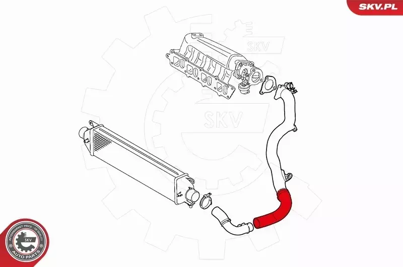 ESEN SKV PRZEWÓD TURBO 43SKV036 