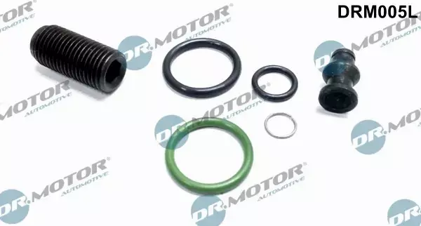 DR.MOTOR ZESTAW NAPRAWCZY WTRYSKIWACZA DRM005L 