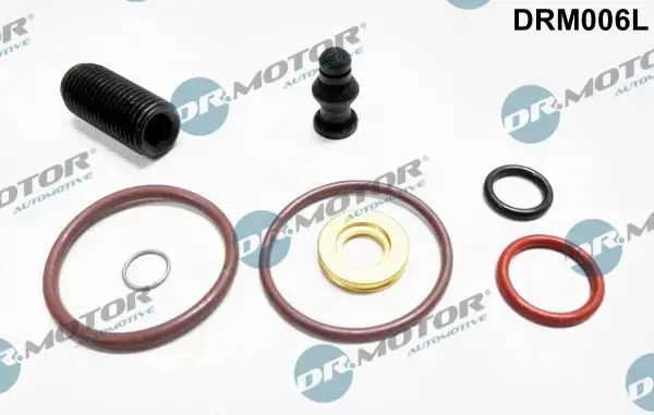 DR.MOTOR ZESTAW NAPRAWCZY WTRYSKIWACZA DRM006L 