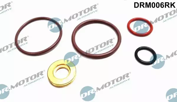 DR.MOTOR ZESTAW NAPRAWCZY WTRYSKIWACZA DRM006RK 