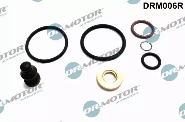 DR.MOTOR ZESTAW NAPRAWCZY WTRYSKIWACZA DRM006R 