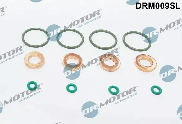 DR.MOTOR ZESTAW NAPRAWCZY WTRYSKIWACZA DRM009SL 