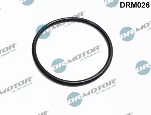 DR.MOTOR O-RING PRZEPUSTNICY DRM026 