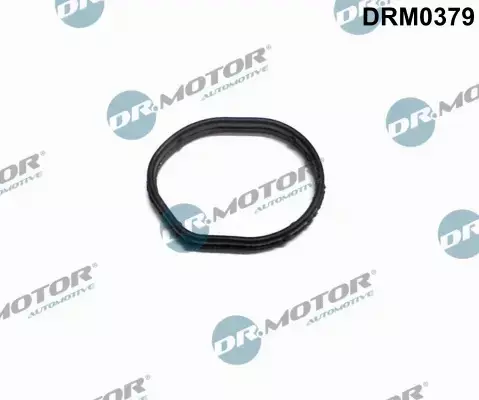 DR.MOTOR USZCZELKA POKRYWY ROZRZĄDU DRM0379 