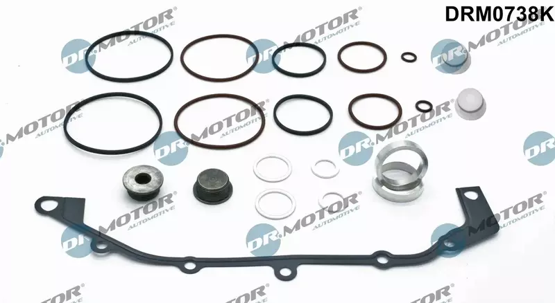 DR.MOTOR ZESTAW USZCZELEK VANOS DRM0738K 