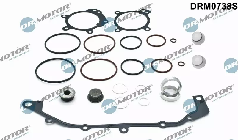 DR.MOTOR ZESTAW USZCZELEK VANOS DRM0738S 