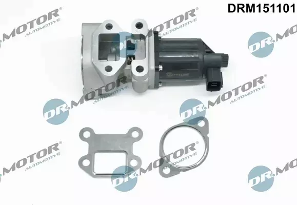 DR.MOTOR ZAWÓR EGR DRM151101 