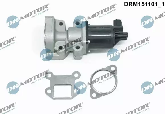 DR.MOTOR ZAWÓR EGR DRM151101 